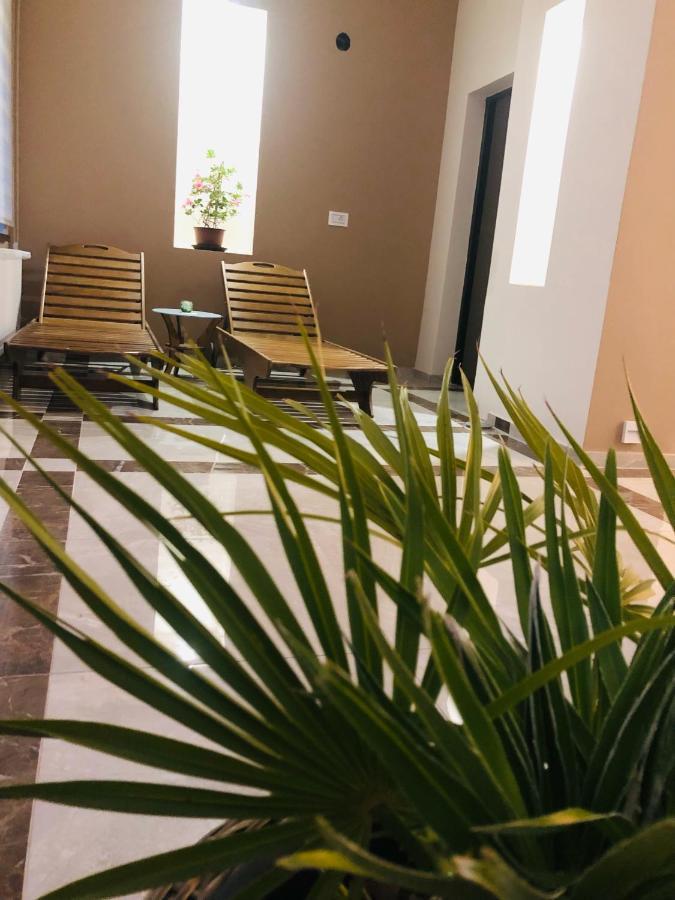 Kovac Residence Zrenjanin Bagian luar foto