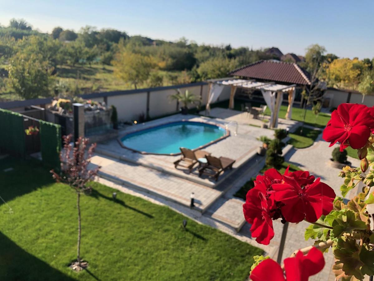 Kovac Residence Zrenjanin Bagian luar foto