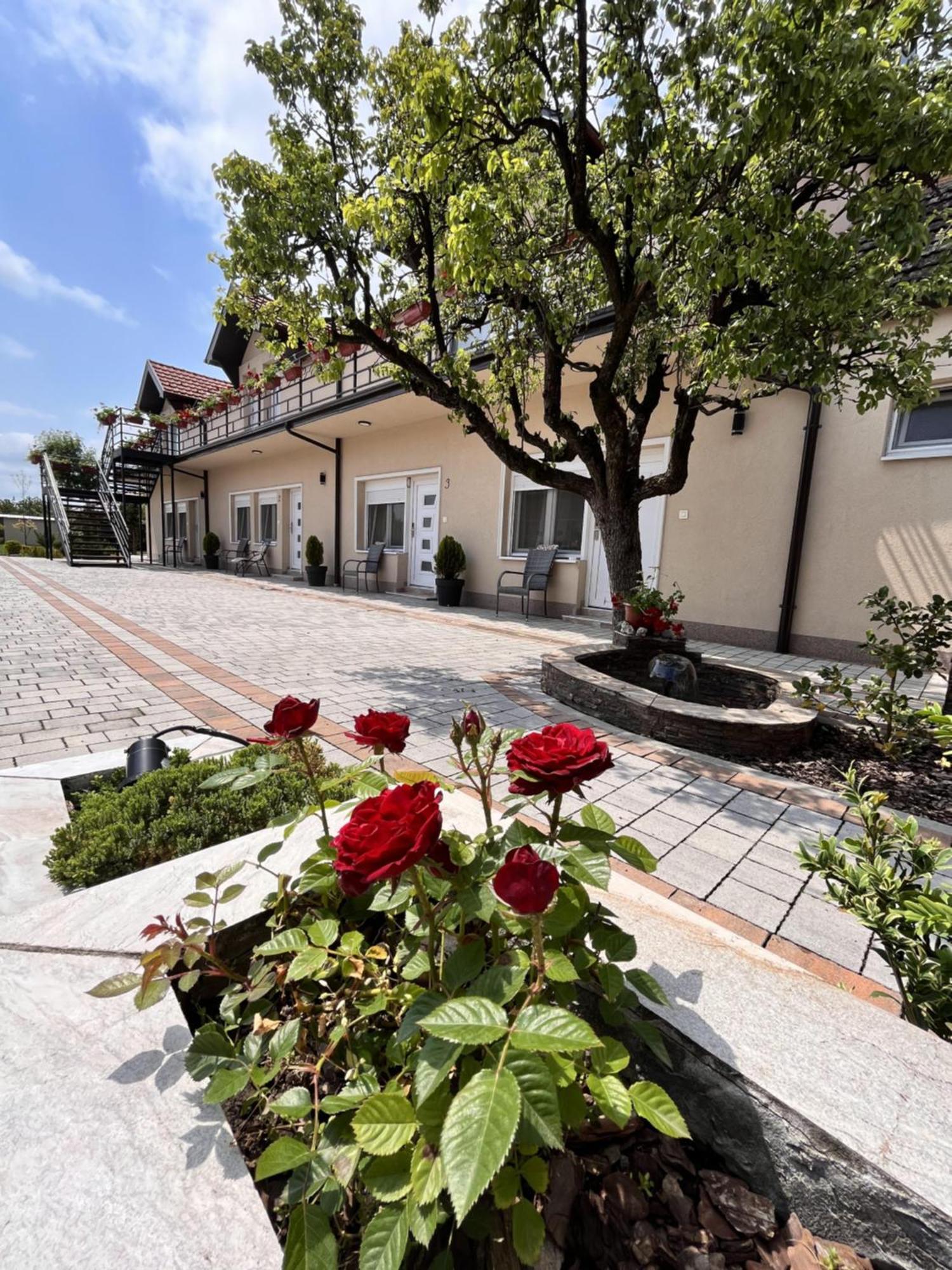Kovac Residence Zrenjanin Bagian luar foto