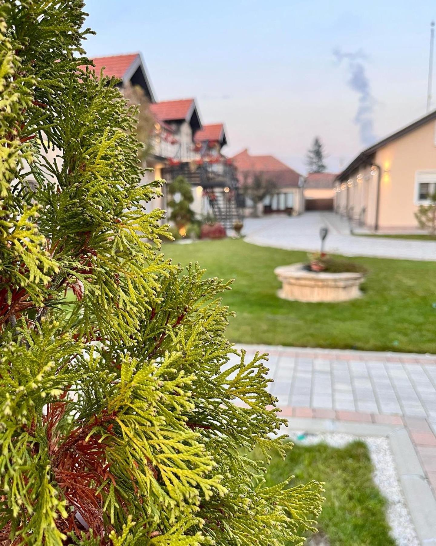 Kovac Residence Zrenjanin Bagian luar foto
