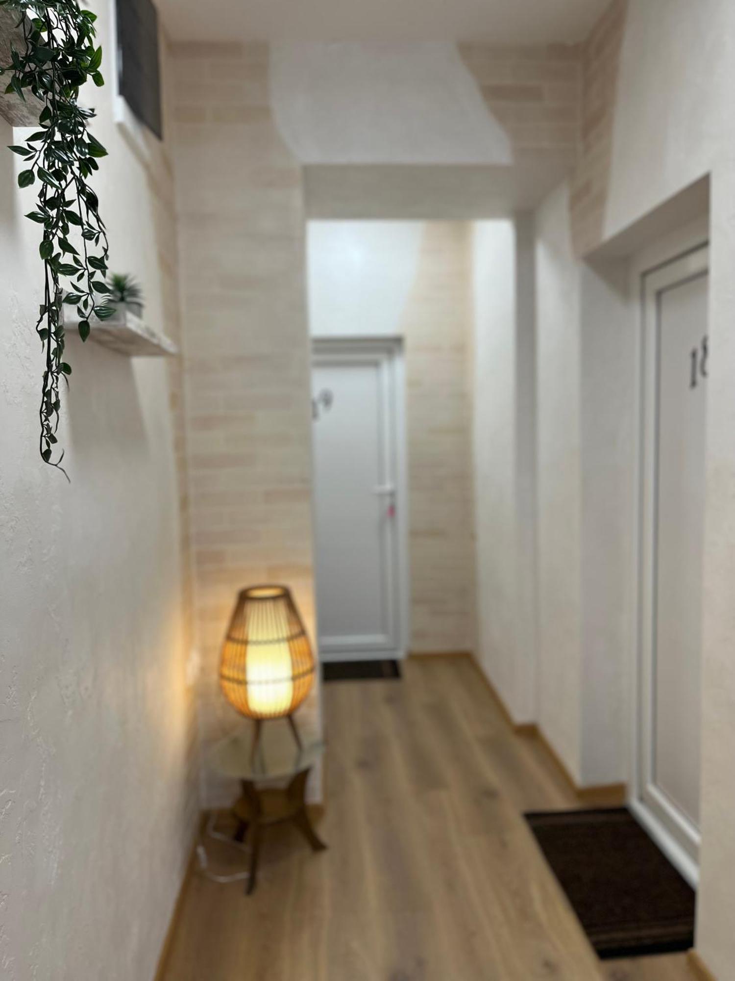 Kovac Residence Zrenjanin Bagian luar foto